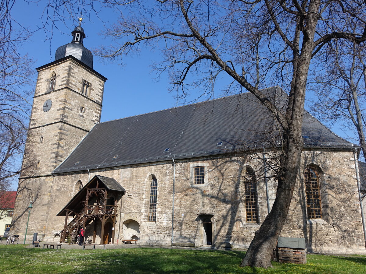 Gebesee, evangelische Pfarrkirche St. Laurentius, erbaut im 15. Jahrhundert (07.04.2023)