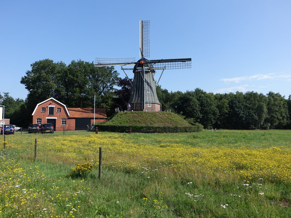 Geesteren, Grote Geesterse Molen, Bandmhle erbaut 1867 (22.07.2017)