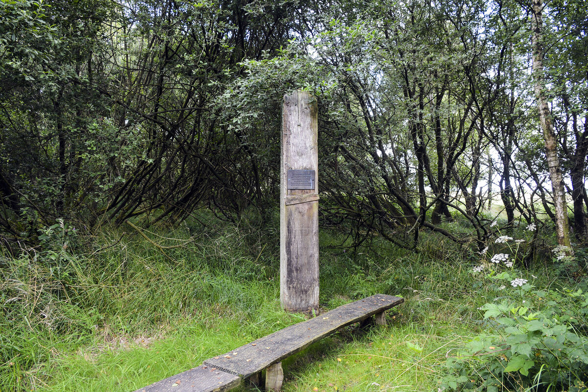 Gem den meisten Darstellungen wurde der Schrein von Frslev im Jahr 1872 von Hans Jrgensen aus Ellund beim Torfstechen entdeckt. Der Fundort in einem groen Moorgebiet befindet sich in unmittelbarer Nhe der heutigen deutsch-dnischen Grenze, westlich des Ortes Frslev (Frslee), der seit 2007 als Stadtteil von Padborg zur Aabenraa Kommune gehrt. Die Stadt Flensburg liegt etwa acht Kilometer entfernt. Ein Obelisk aus Eiche markiert heute den Fundort. 
Aufnahme: 30. Juli 2023.