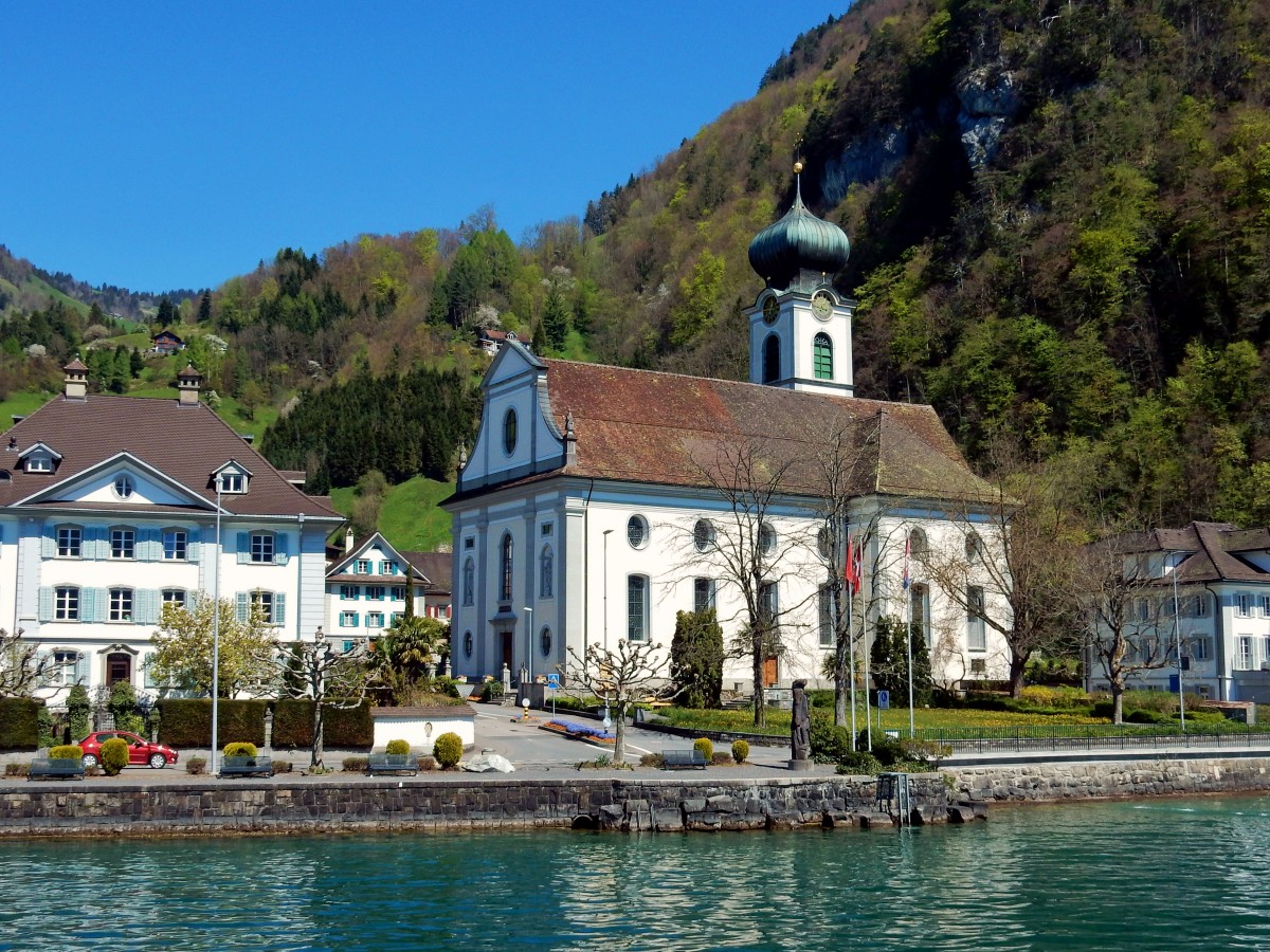 Gersau, die Pfarrkirche St. Marcellus am Ufer des Vierwaldstttersees - 22.04.2015