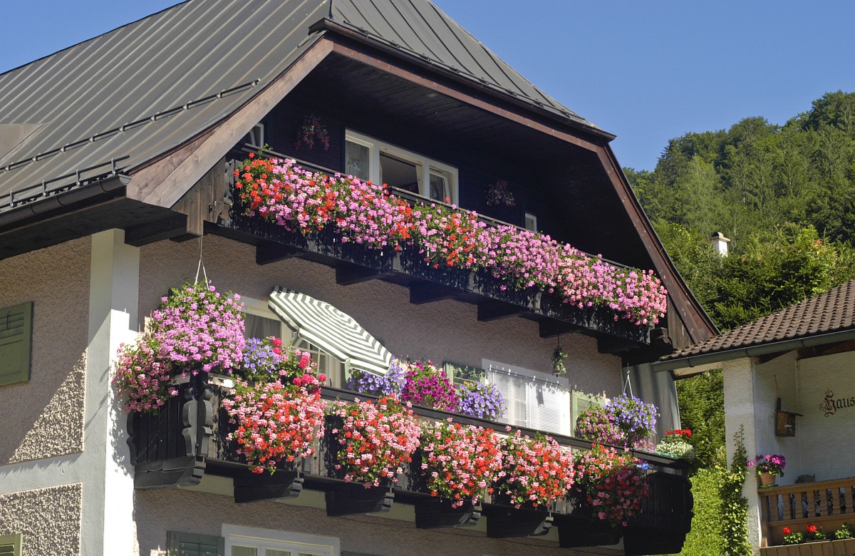 Giebel mit Blumenkasten in Ramsau im Berchtesgadener Land. Aufnahme: Juli 2008.