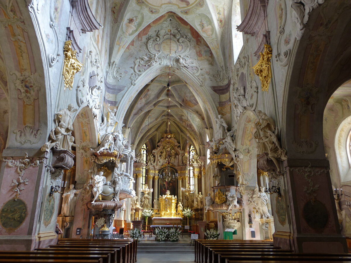 Glogowek / Oberglogau, Innenraum der Pfarrkirche St. Bartholomäus, Fresken von  Franz Anton Sebastini (12.09.2021)