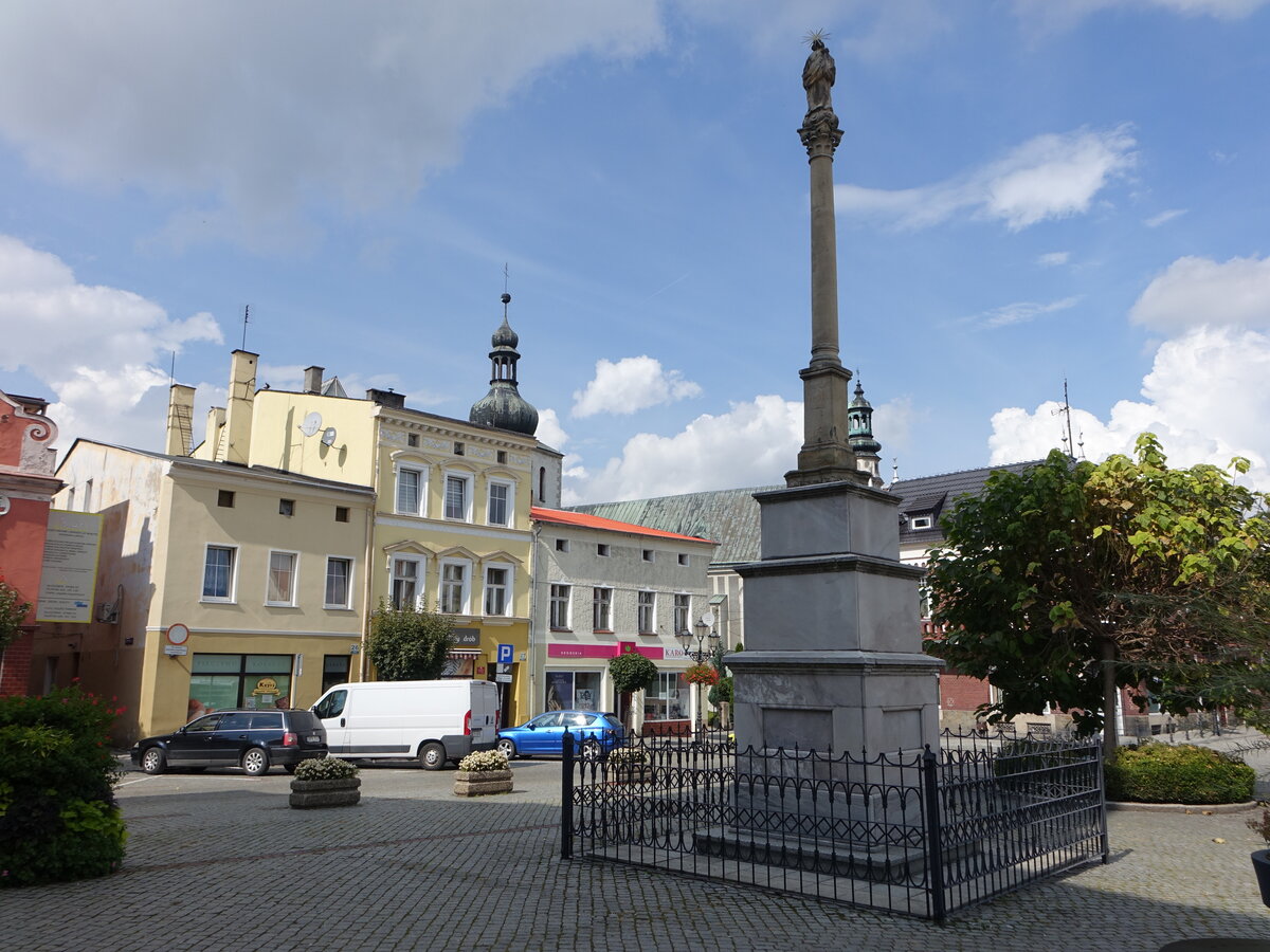 Glogowek / Oberglogau, Mariensule von 1617 und Gebude am Rynek Platz (12.09.2021)