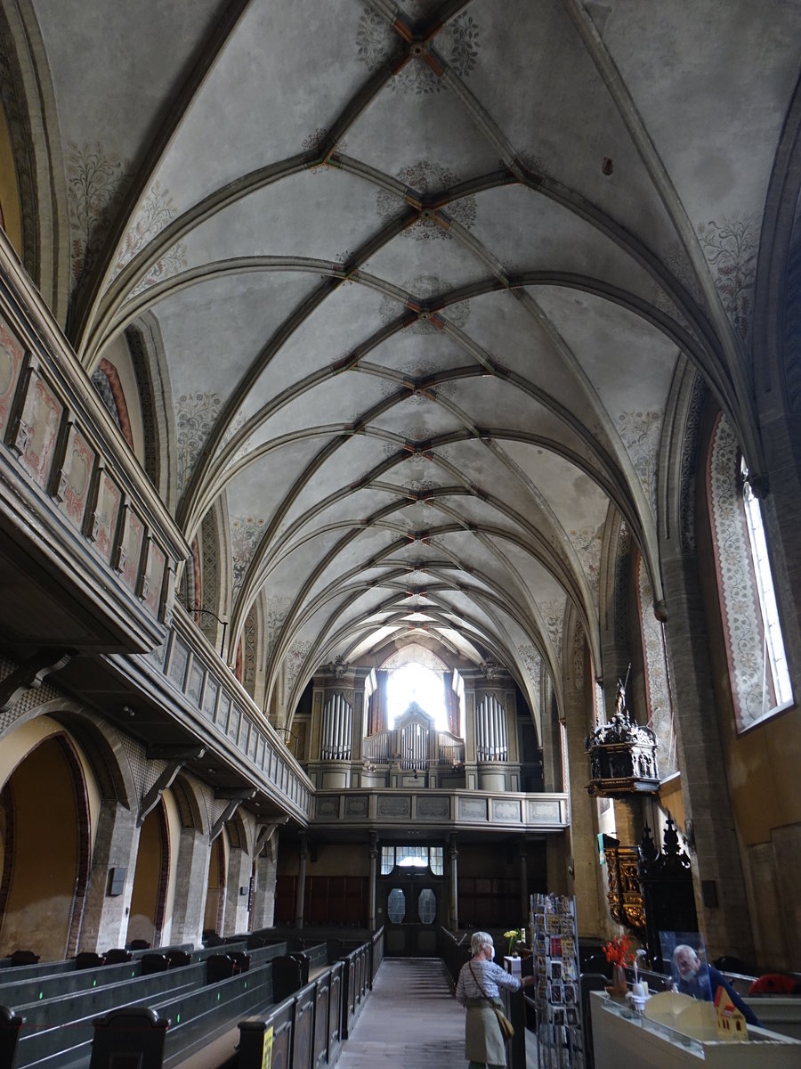 Görlitz, gotischer Innenraum der Dreifaltigkeitskirche, Orgel erbaut 1955 von der Firma Eule Orgelbau im alten Gehäuse von Julius Röhle von 1910 (03.10.2020)