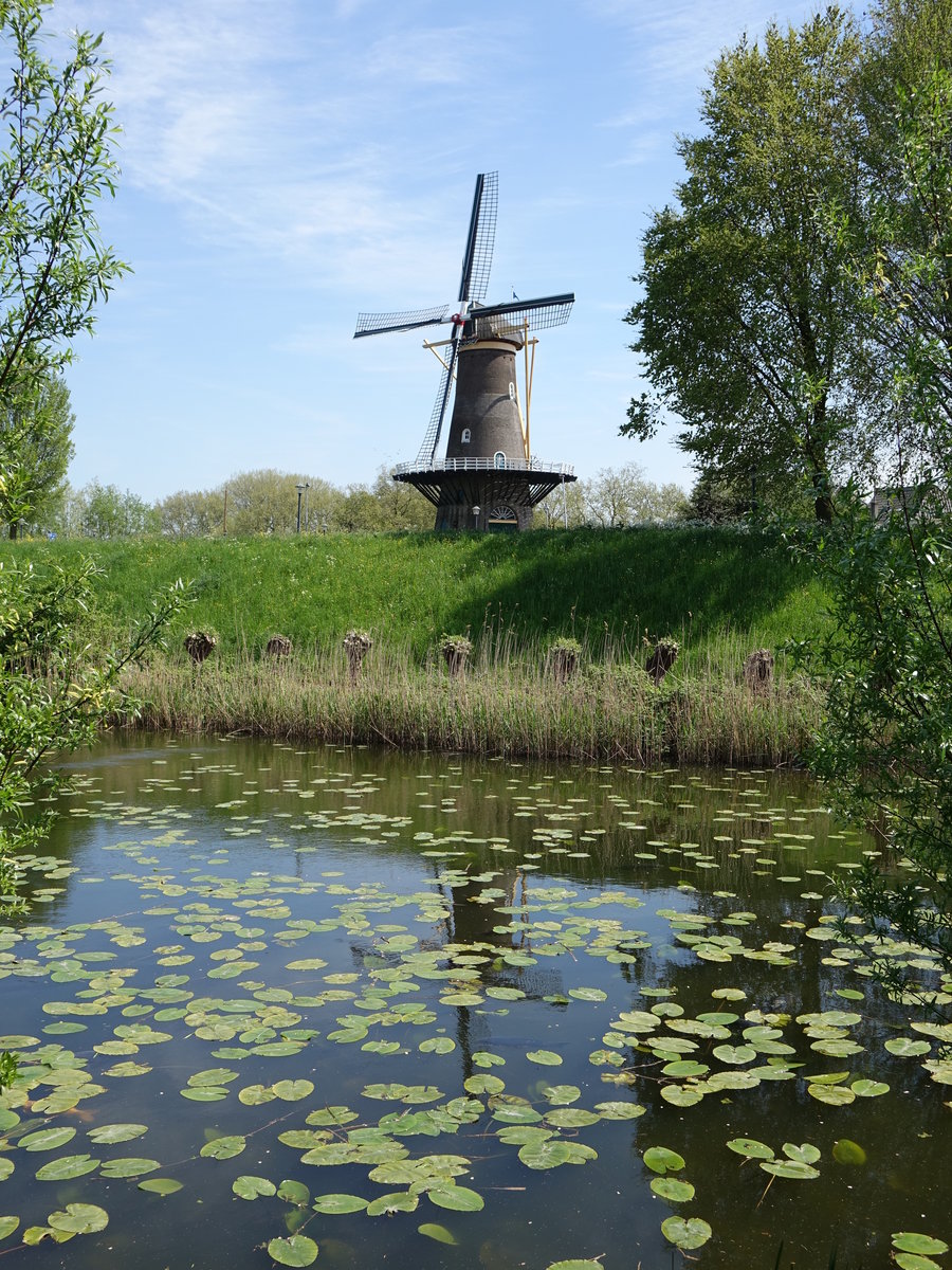 Gorinchem, Windmhle am Paardenwater (09.05.2016)