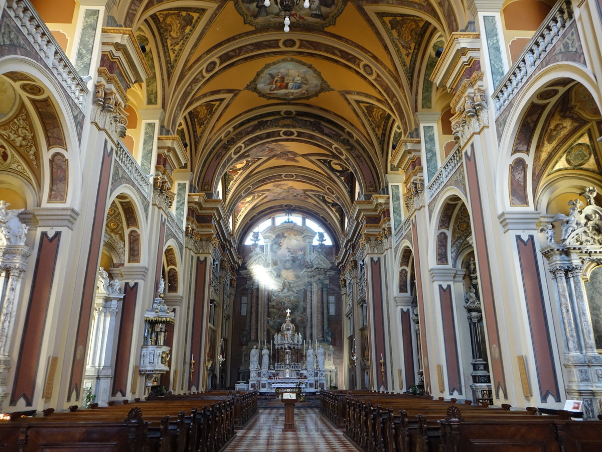 Gorizia/Grz, barocker Innenraum der Jesuitenkirche St. Ignazio, Altar des venezianischen Malers Gregorio Lazzarini,  Fresken von Christoph Tausch (19.09.2019)