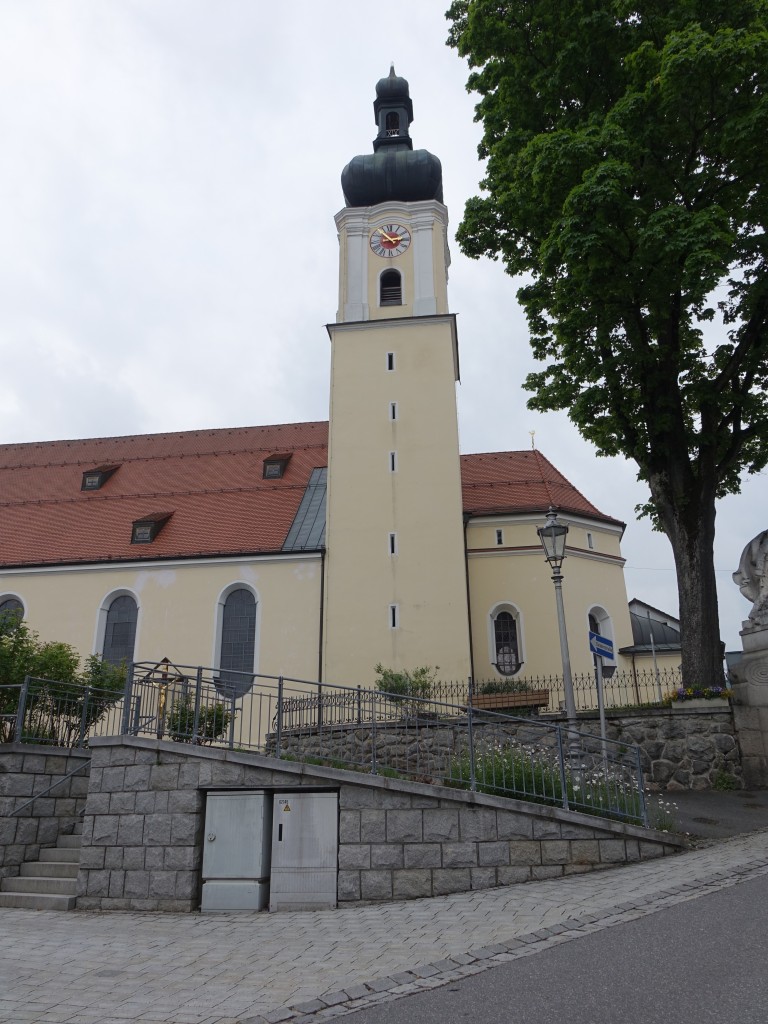 Grafenau, Katholische Stadtpfarrkirche Mari Himmelfahrt, Chor im Kern sptgotisch, 
Langhaus dreischiffiger Neubarockbau von 1905 bis 1907 (24.05.2015)