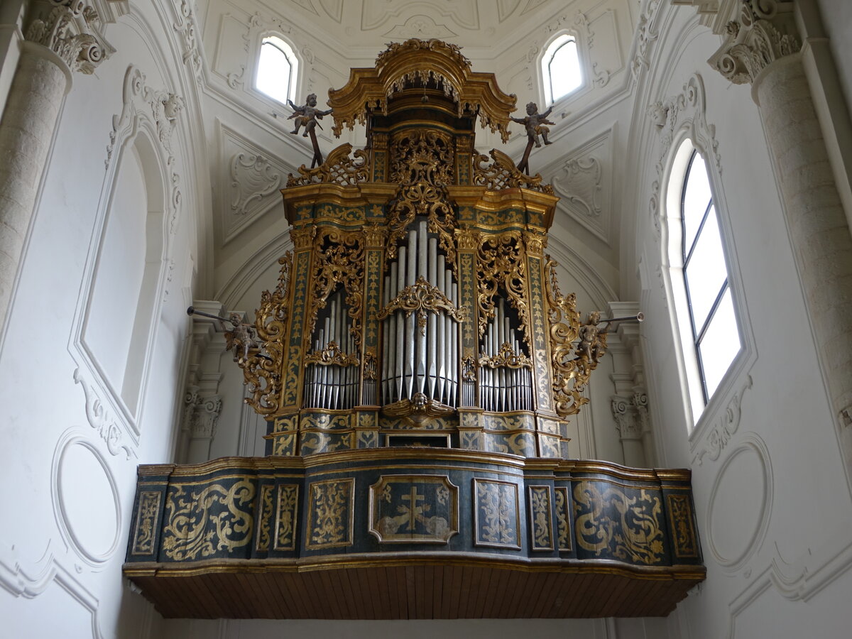 Gravina di Puglia, Orgel in der Pfarrkirche San Francesco (29.09.2022)