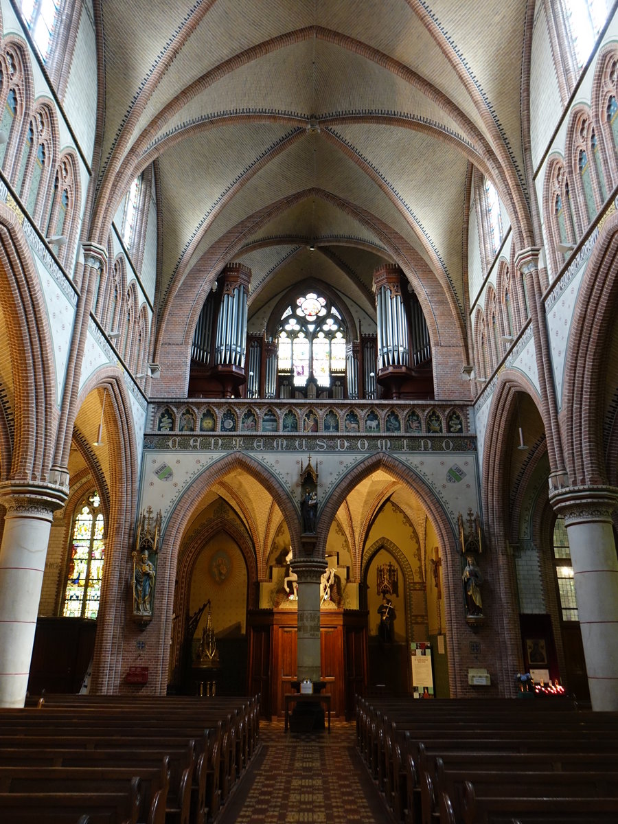 Groningen, Orgel von 1906 in der St. Joseph Kathedrale (29.07.2017)