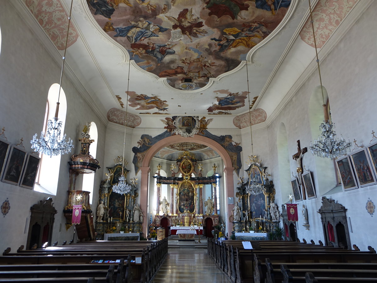 Growenkheim, barocker Innenraum der Pfarrkirche Maria Himmelfahrt (07.07.2018)