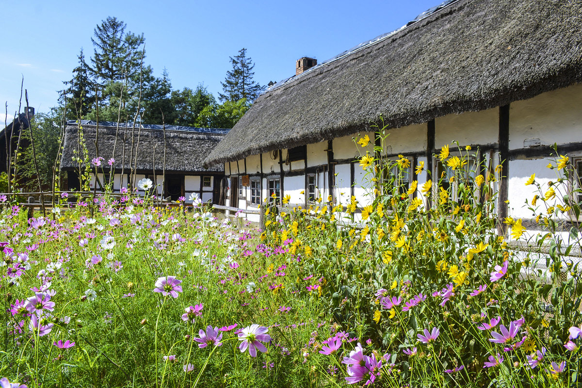 Hachwerkhaus in Kluki (Klucken). Das winzige Dorf mit etwa 300 Einwohnerns liegt am westlichen Ufer des Leba-Sees. Bis zum Endes des Zweiten Weltkrieges lebten hier noch Slowinzen, ein westslawisches Volk, das im Slowinzischen Kstenland in Hinterpommern lebte. Ihr Siedlungsgebiet befand sich etwa zwischen den Stdten Stolp (Słupsk) und Leba (Łeba), heute zur polnischen Woiwodschaft Pommern gehrig. Aufnahme: 18. August 2020.