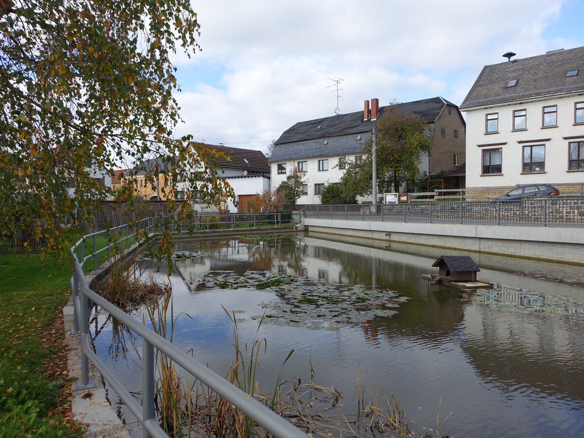 Huser am Dorfteich von Plothen, Saale-Orla Kreis (19.10.2022)