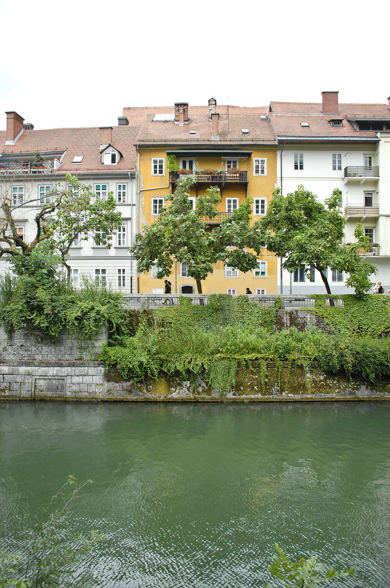 Huser am Ljubljanica-Fluss in Ljubljana. Aufnahme: 1. August 2016.