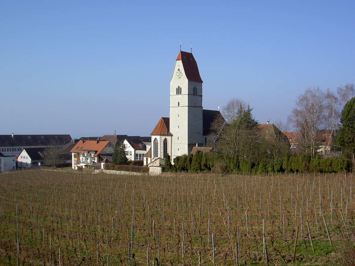 Hagnau a. Bodensee, sptgotische St. Johann Baptist Kirche mit romanischen Turm, barockisiert 1729 (09.03.2014)