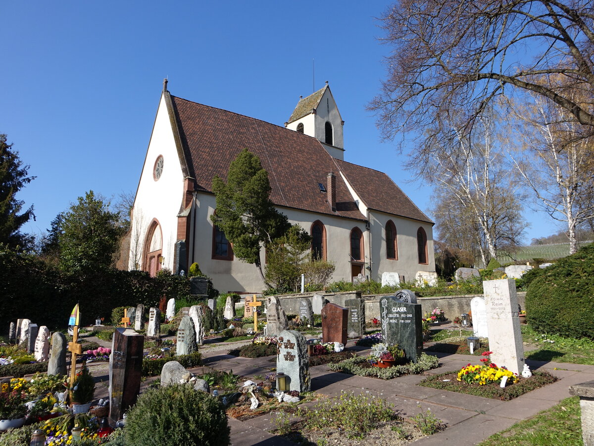 Haltingen, evangelische St. Georg Kirche, erbaut ab 1139, Langhaus und Chor erbaut 1718 (30.03.2019)