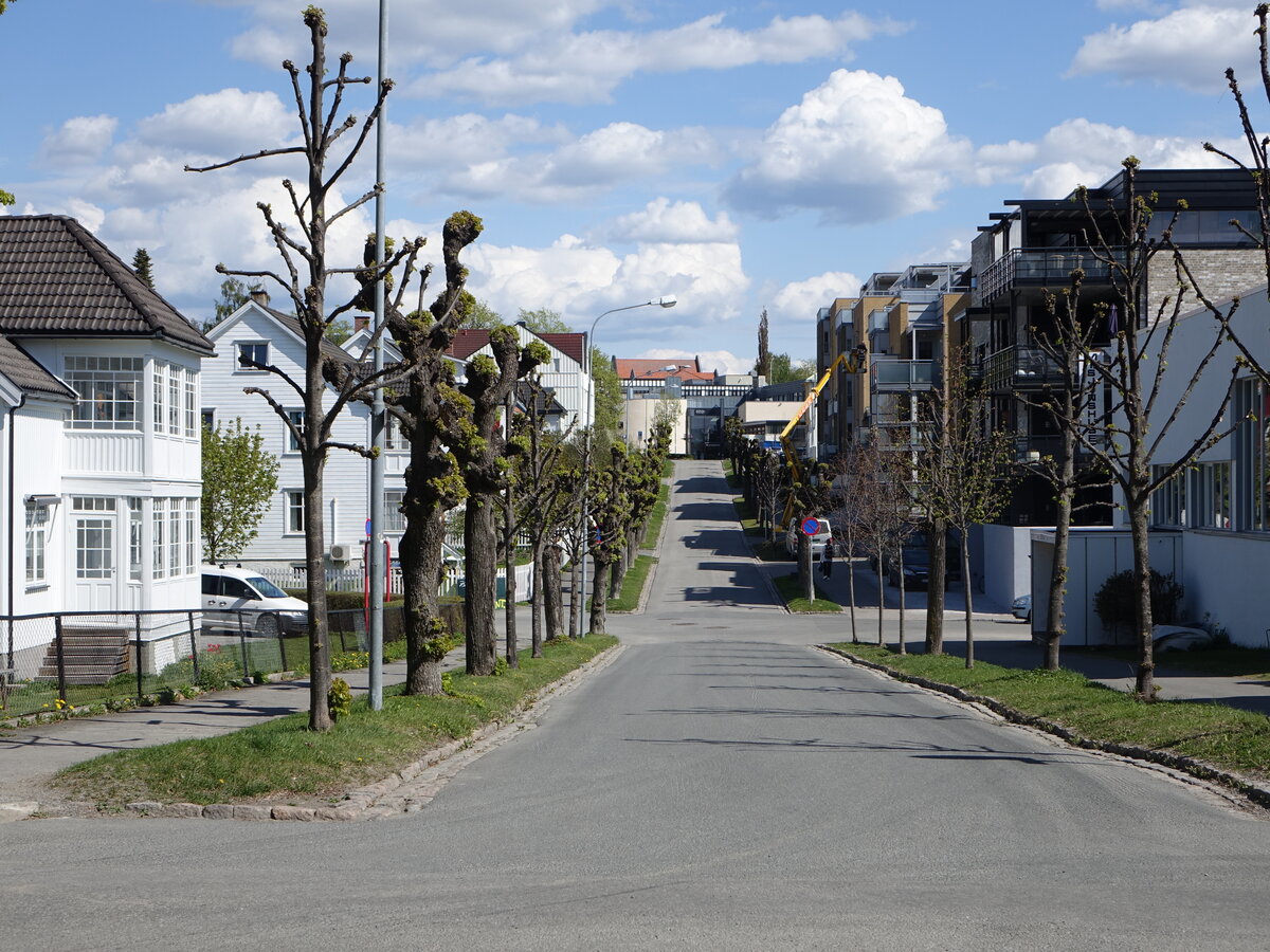 Hamar, Huser in der Holsetgata Strae (22.05.2023)