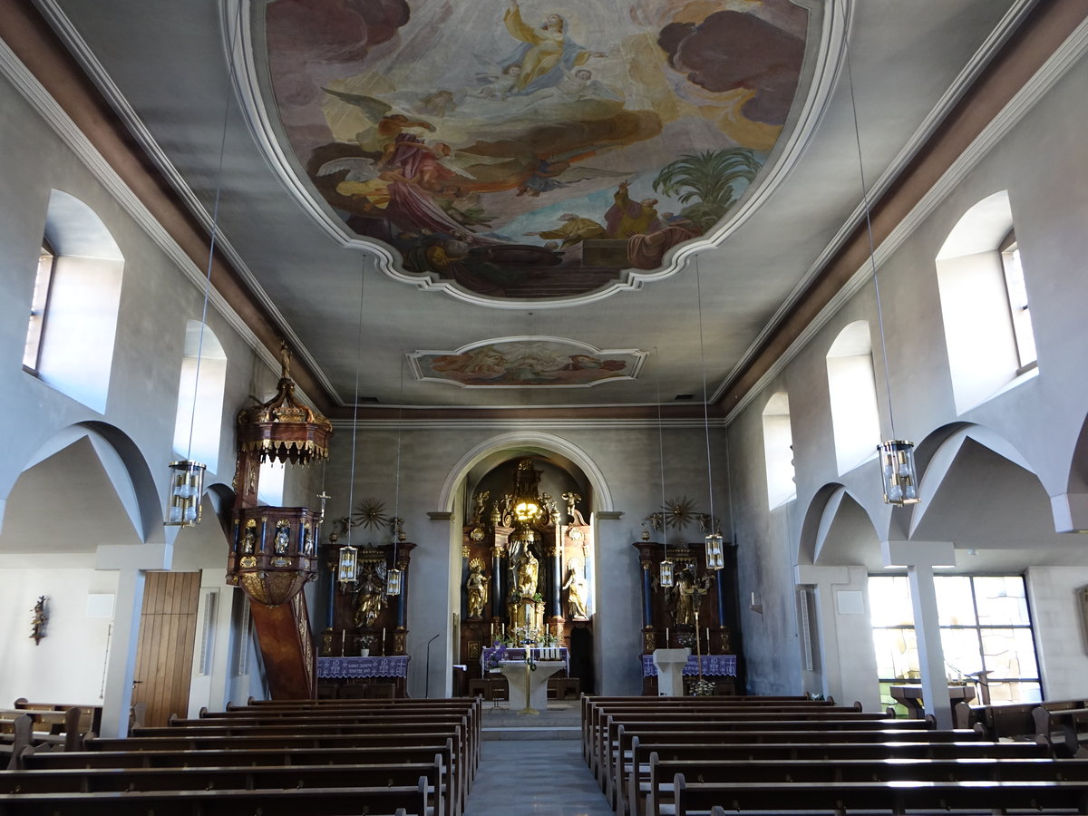 Hambach, barocker Innenraum der kath. Pfarrkirche Maria Geburt (28.05.2017)
