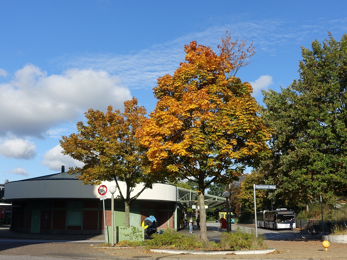 Hamburg am 16.10.2020: Herbstimpressionen am U-+Bus-Bahnhof Steinfurther Allee /