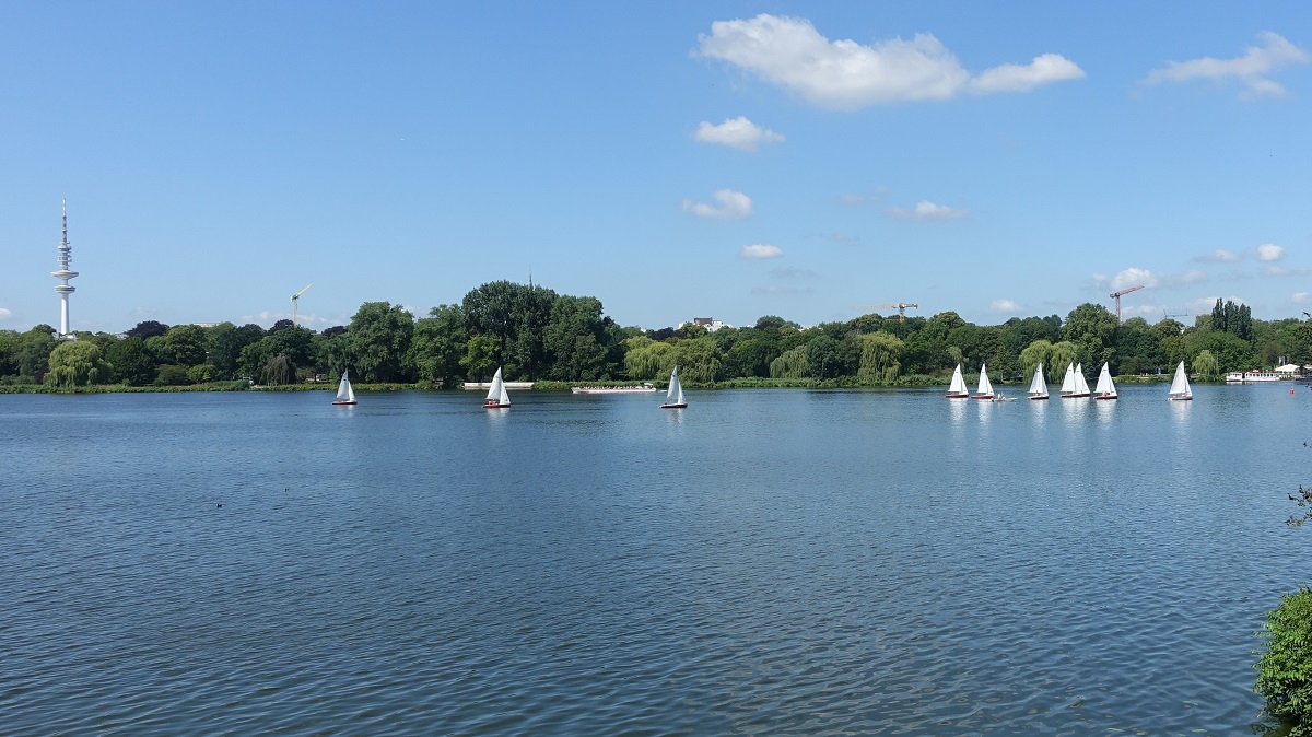 Hamburg am 23.7.2019: Segelschule auf der Auenalster /