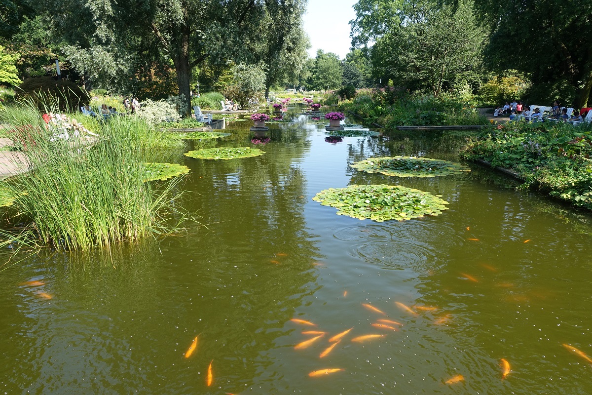 Hamburg am 30.7.2019: Kaskaden im Park Planten un Blomen  /