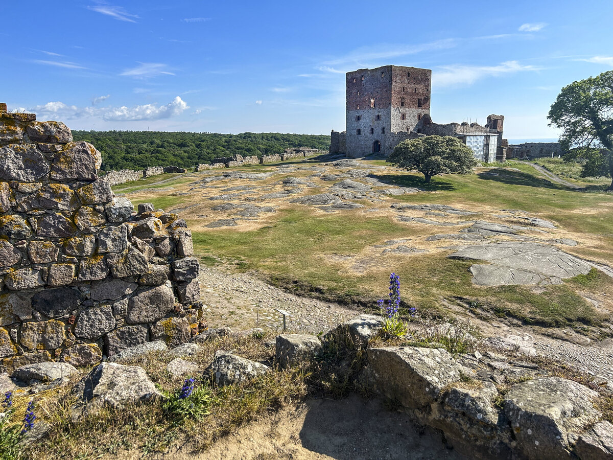 Hammershus - Der Mantelturm und die innere Burgbefestigung. Aufnahme: 16. Juni 2023.