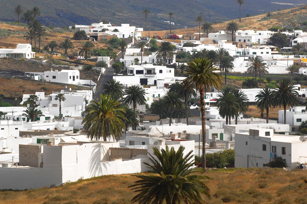 Hara - Lanzarote. Aufnahme: April 2011.