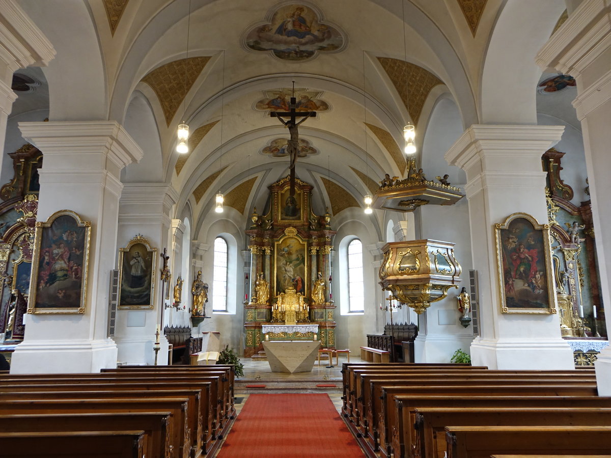 Haslach, neubarocker Innenraum der Pfarrkirche Mari Verkndigung (26.02.2017)