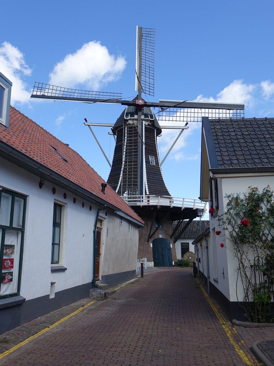 Hattem, Windmühle de Fortuin, heute Bauernmuseum (23.07.2017)