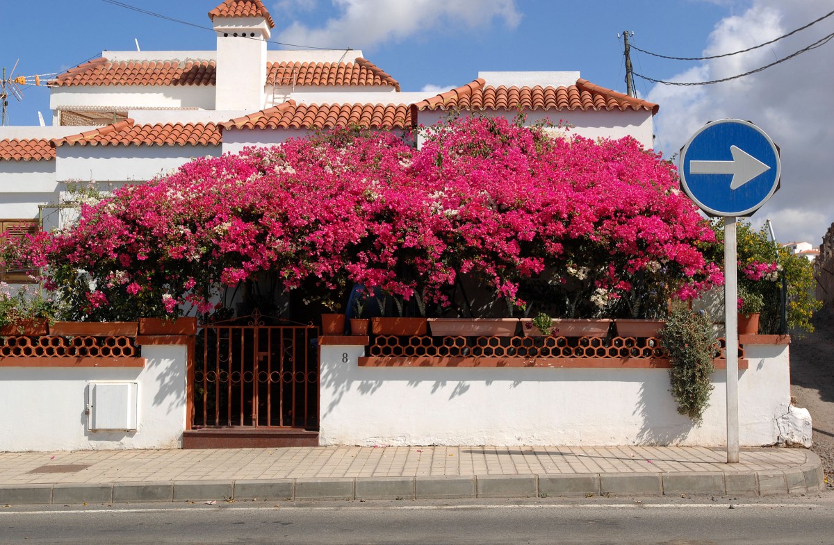 Haus in Agaete - Aufnahme: Oktober 2009.