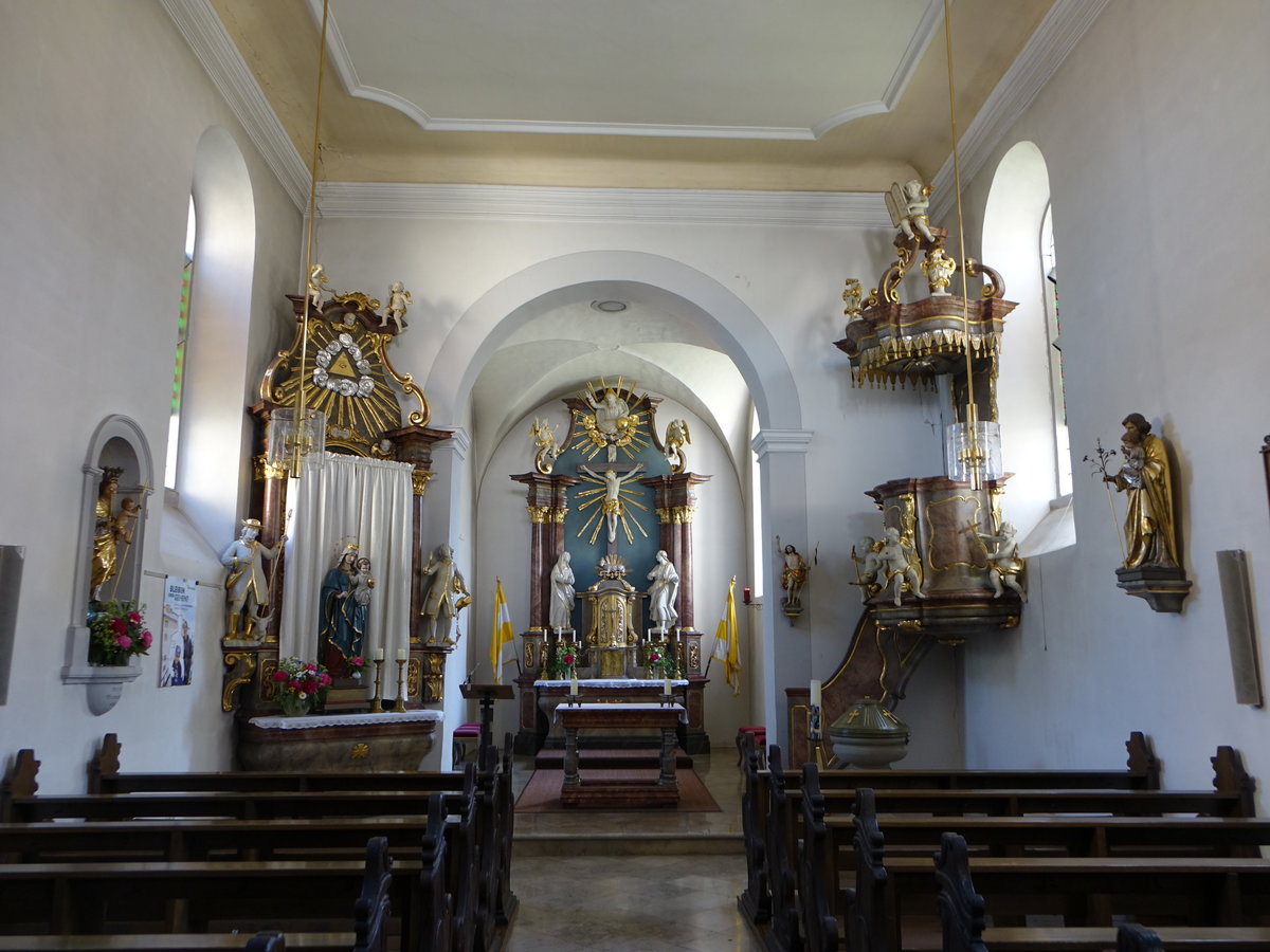 Hausen b. Wrzburg, barocker Innenraum der Pfarrkirche St. Wolfgang (27.05.2017)