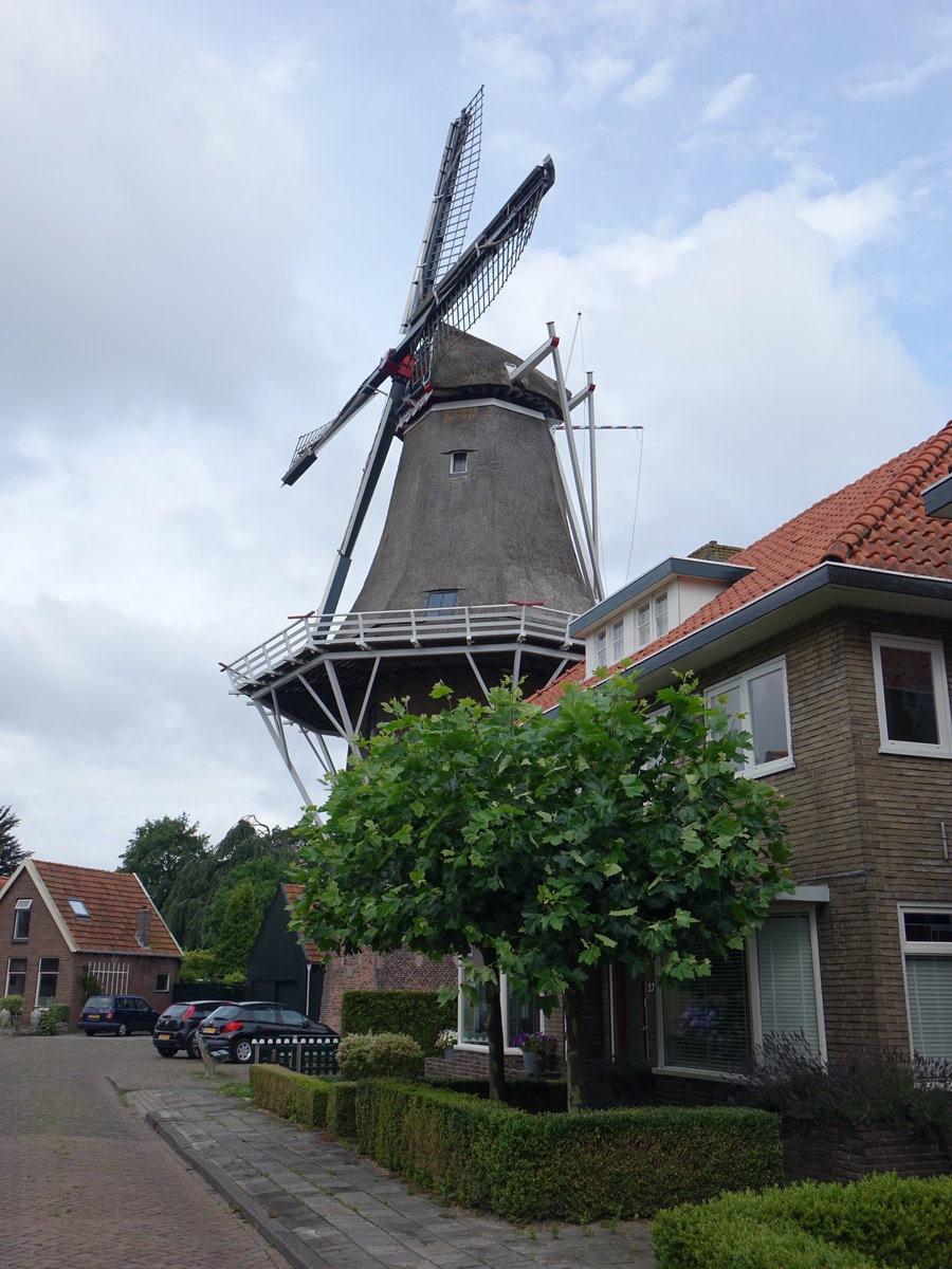 Heerenveen, Molen Welgelegen, Kornmhle, erbaut 1849 durch H. Kok (25.07.2017)