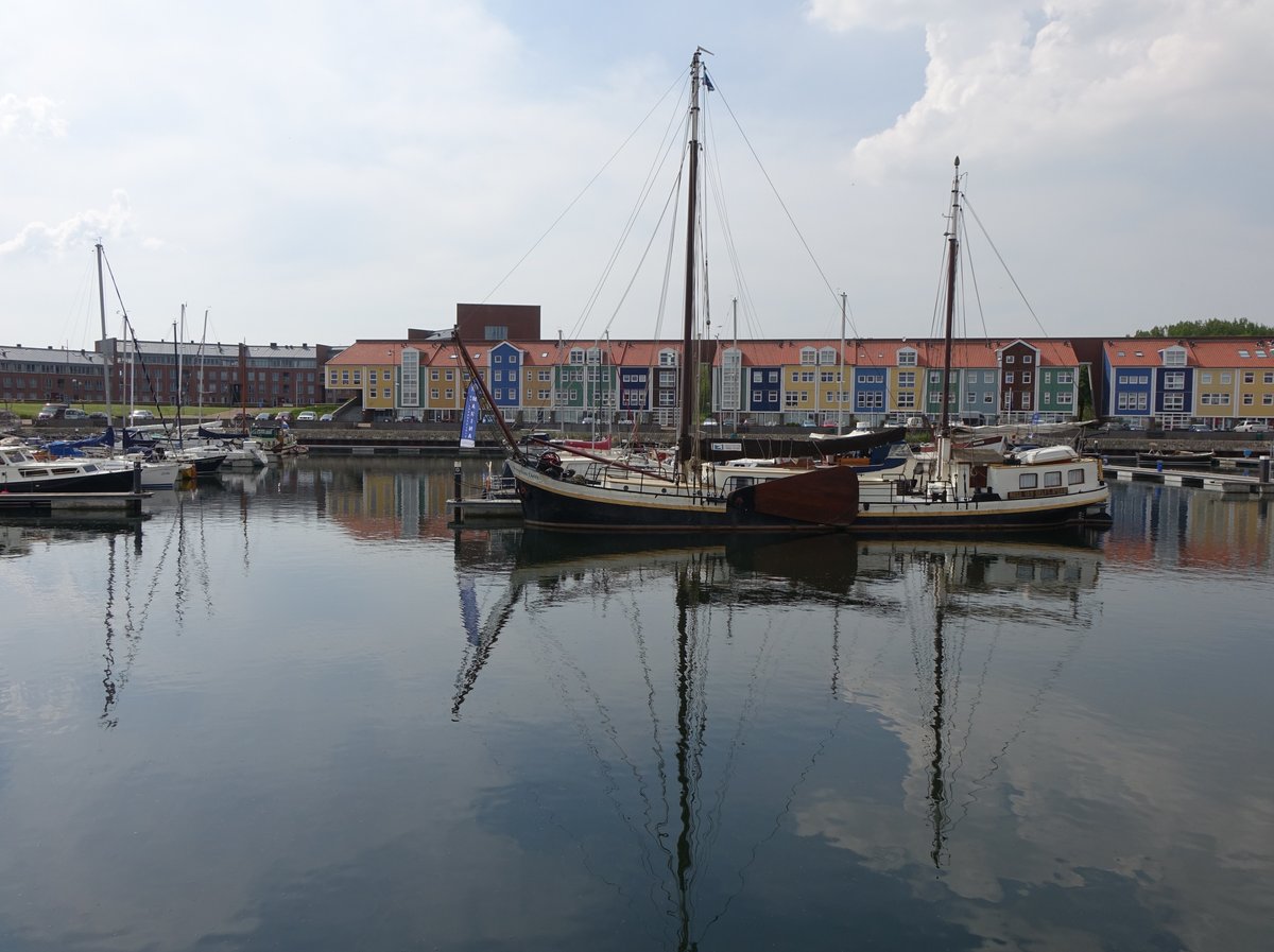 Hellevoetsluis, Hafen und Wohnviertel an der Burg van der Jagtkade Strae (11.05.2016)