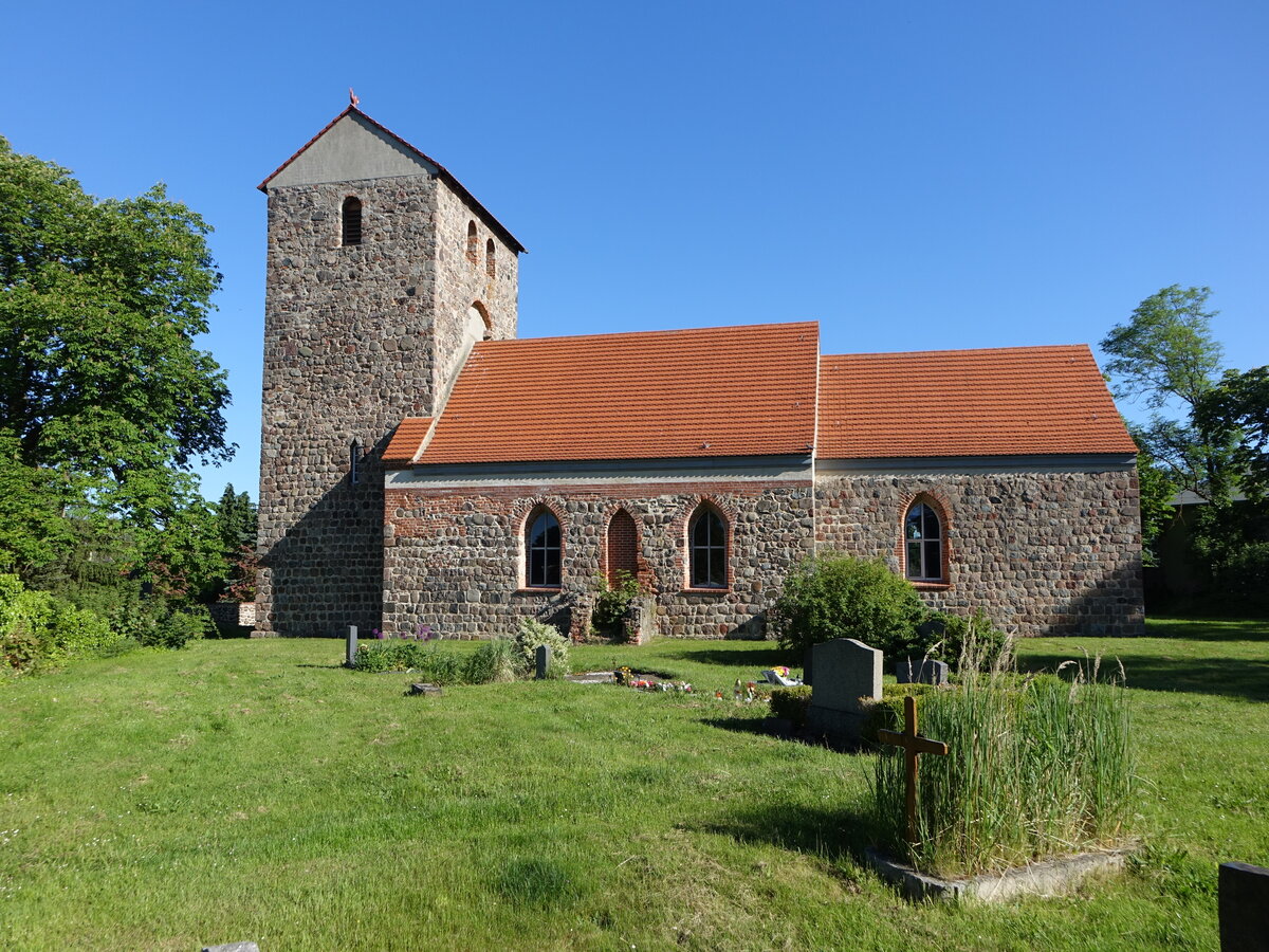 Hirschfelde, mittelalterliche Feldsteinkirche aus dem 13. Jahrhundert (25.05.2026)