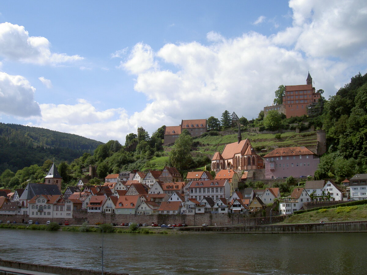 Hirschhorn, Ausblick auf die Altstadt mit Burg, kath. Kirche Maria Immaculata und Karmeliter Klosterkirche (24.08.2008)