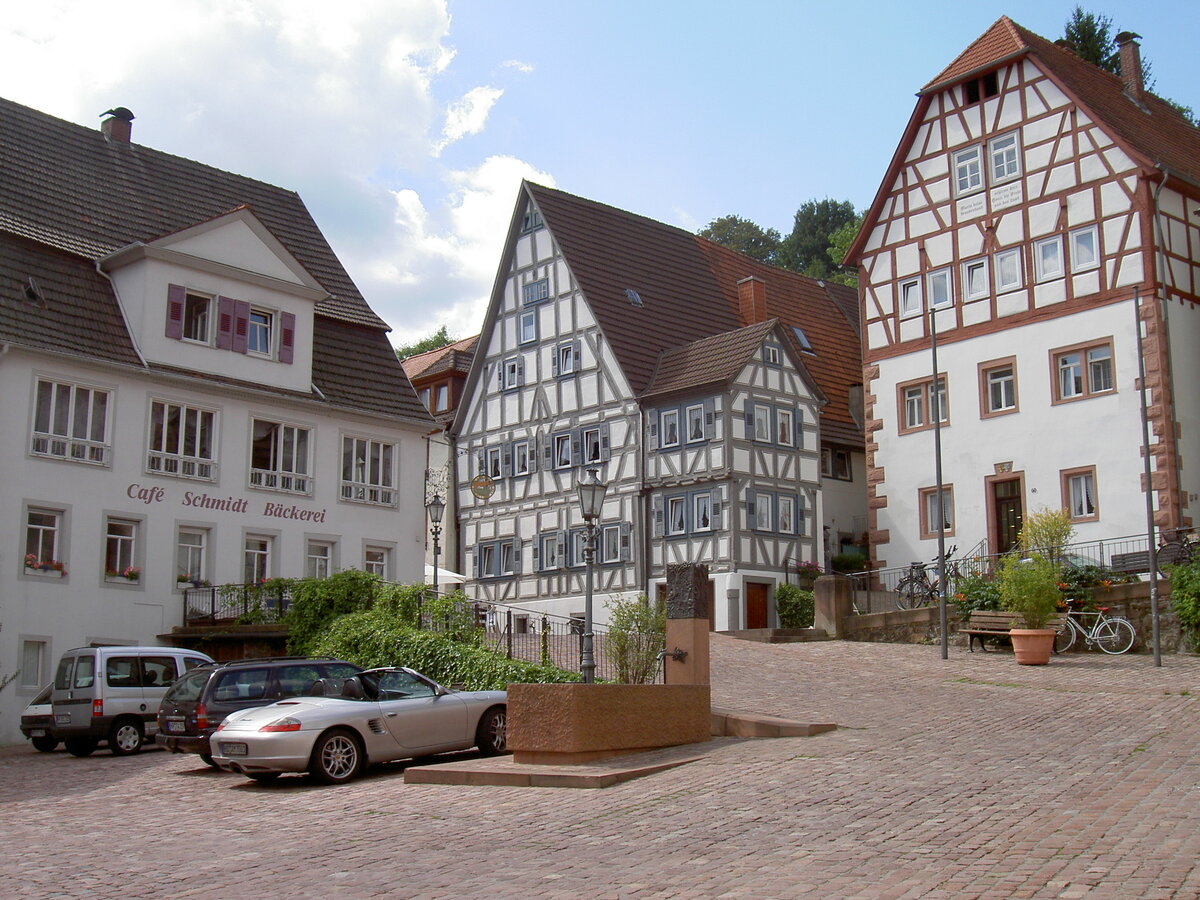 Hirschhorn, Brunnen und Fachwerkhuser am Marktplatz (24.08.2008)