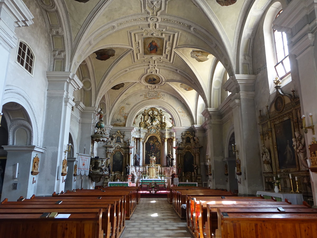 Hlohovec / Freistadt an der Waag, barocker Innenraum der Franziskanerkirche (29.08.2019)