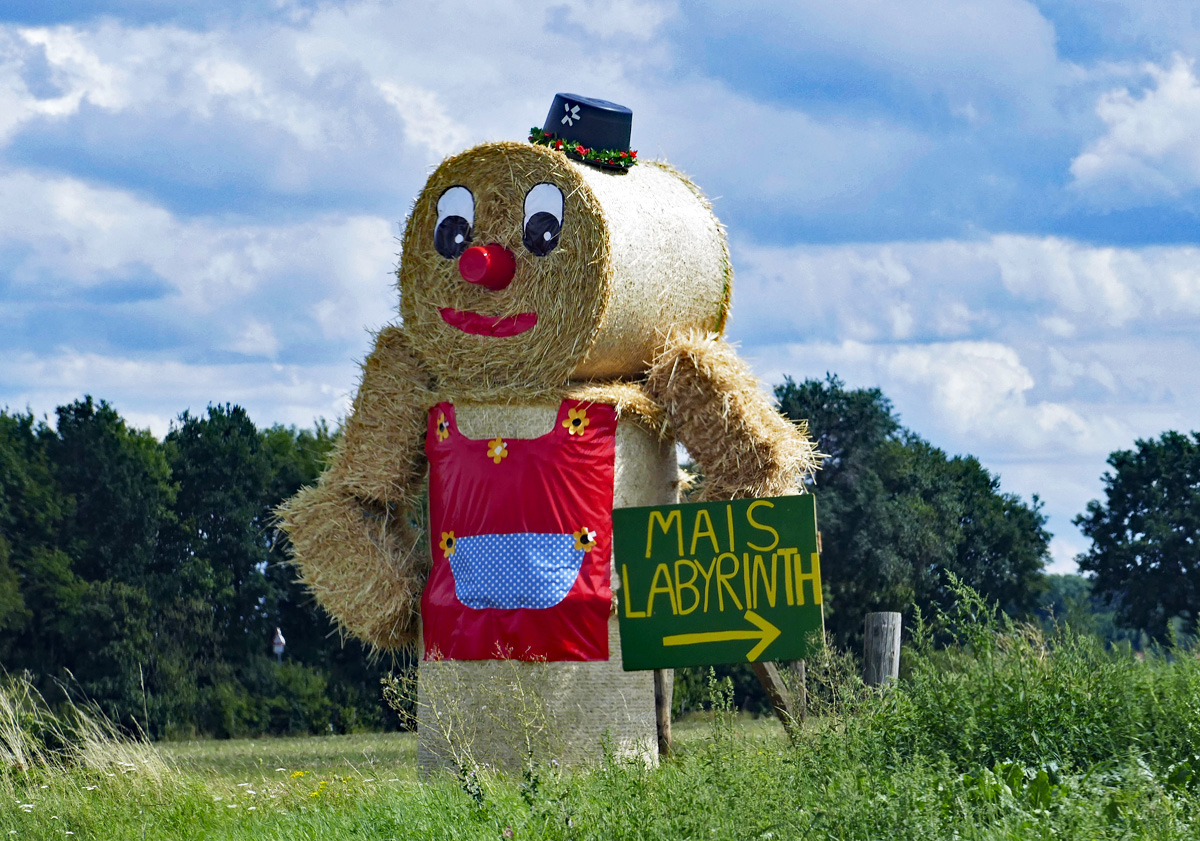 Hochkonjunktur nach der Ernte  fr Strohballen-Figuren, hier bei Euskirchen - 09.08.2017