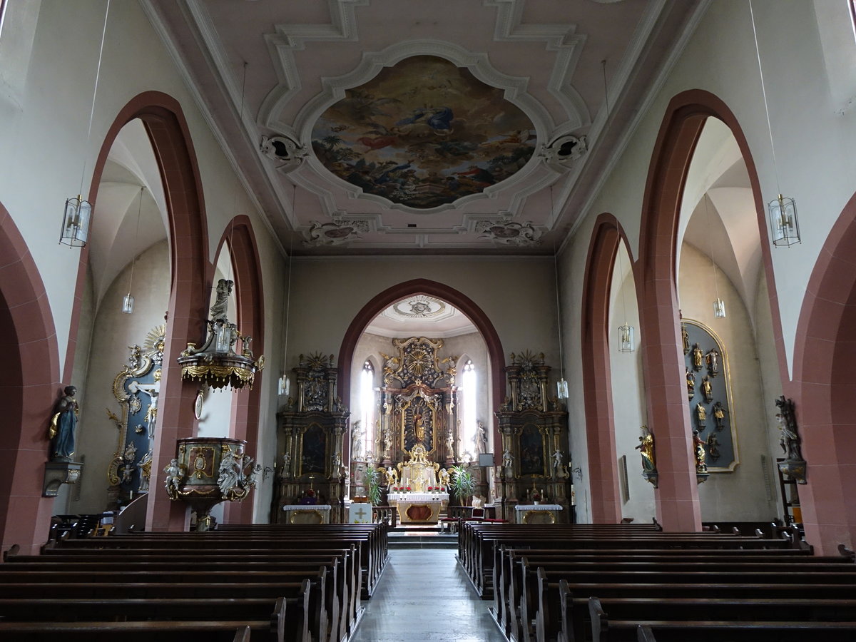 Hchberg, Innenraum der Wallf. Kirche Maria Geburt (15.06.2016)