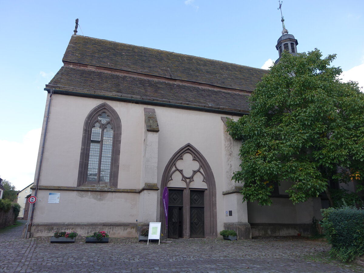 Hxter, evangelische Marienkirche, ehem. Klosterkirche der Minoriten, erbaut von 1281 bis 1320 (30.09.2023)