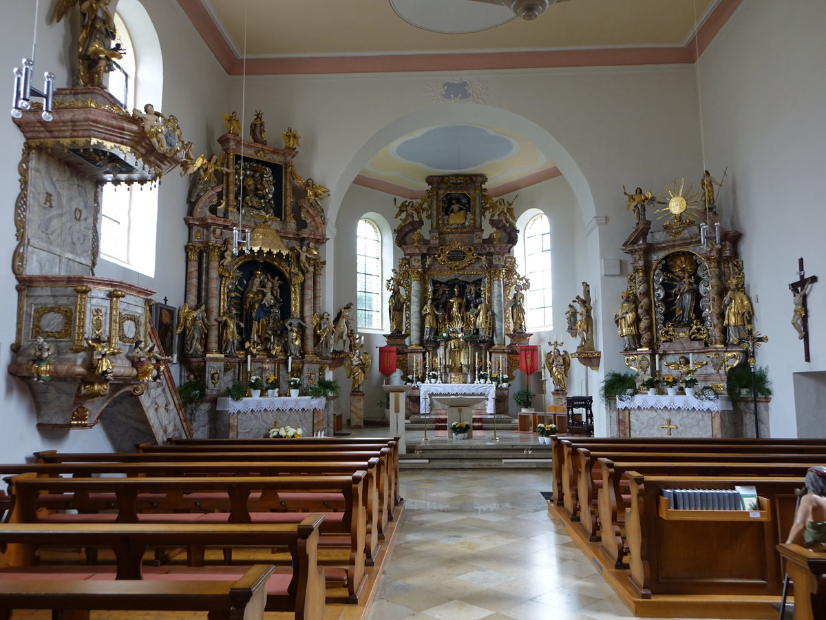 Hohenmirsberg, barocker Innenraum der Pfarrkirche St. Martin (19.05.2018)