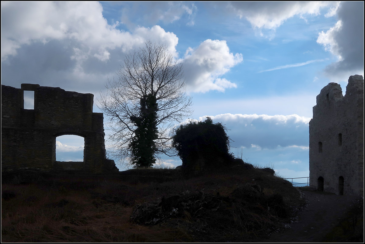 Hohentwiel bei Singen -

Ruinenteile und Baum vor wolkigem Himmel. Obere Festung.

04.02.2018 (M)