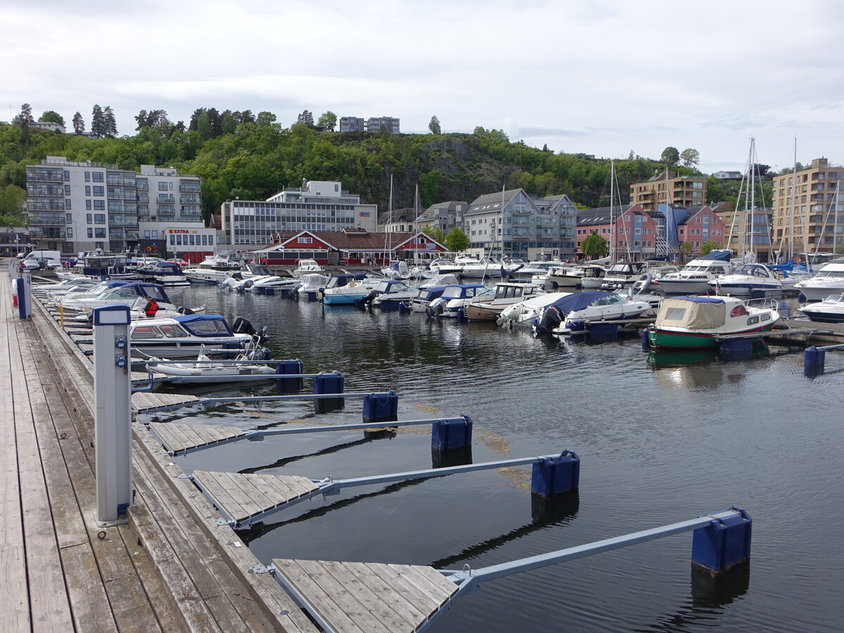 Holmestrand, Huser am Hafen an der Havnegaten Strae (29.05.2023)