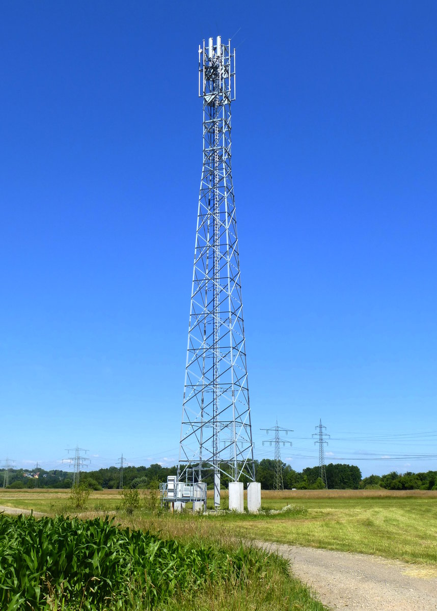 Holzhausen, neuer Handymast in der Rheinebene, Juni 2018