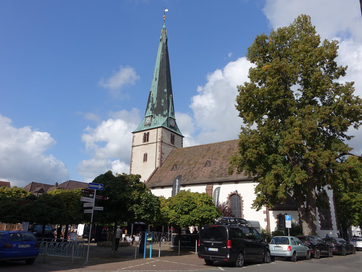 Holzminden, evangelische Lutherkirche, zweischiffige kreuzgratgewlbte Hallenkirche, erbaut ab 1577 (30.09.2023)