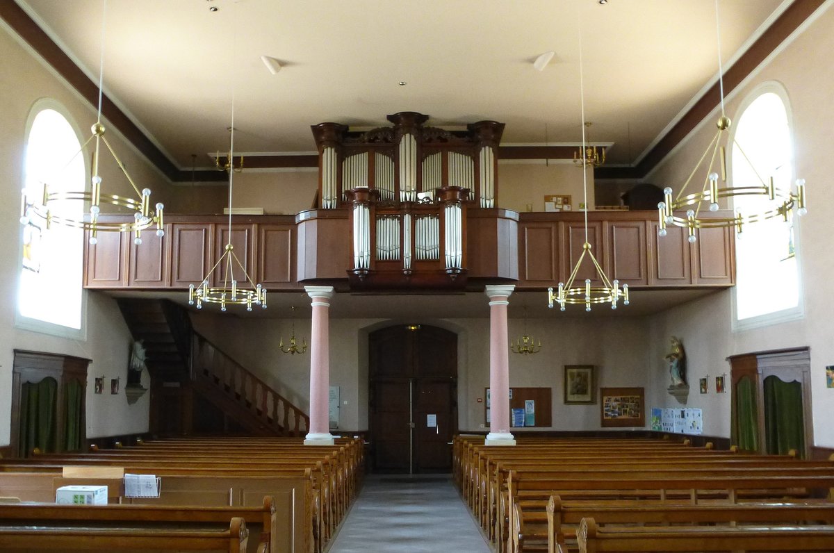 Homburg (Hombourg), Blick zur Orgelempore in der Kirche St.Nikolaus, Juli 2018 
