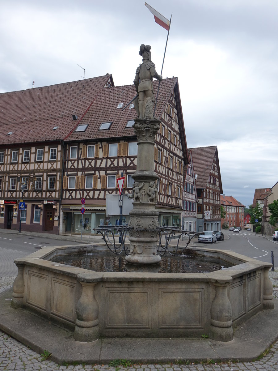 Horb, Fachwerkhuser und Platzbrunnen am unteren Markt (10.05.2018)