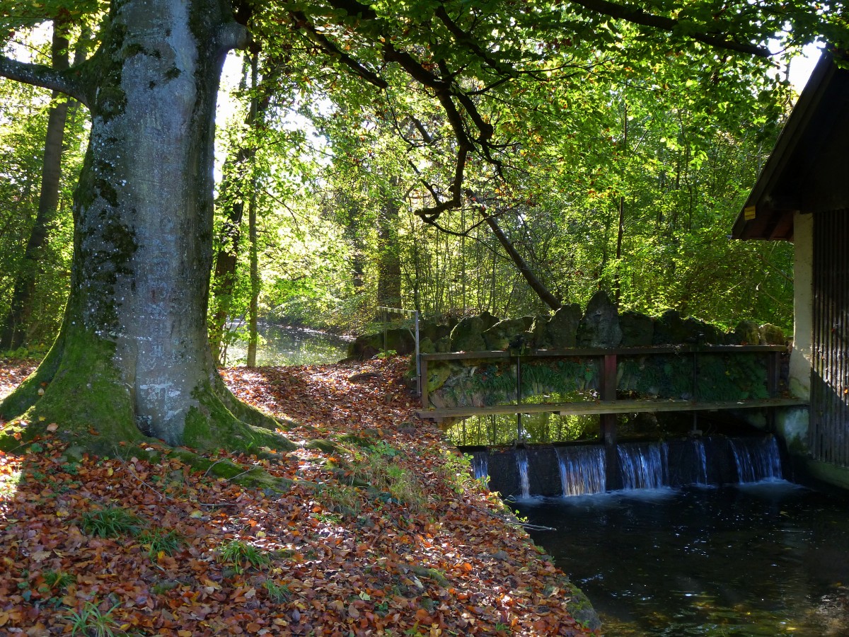 Hugstetten, Brcke ber den Mhlgraben und kleiner Wasserfall im ehemaligen Schlopark, Okt.2014