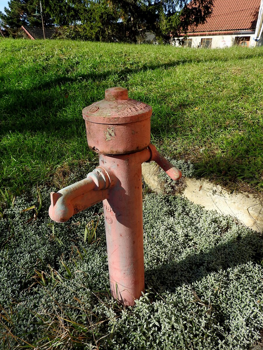 Hydrandt mit eingegossener Jahreszahl 1964, findet im Weinviertel  seine Verwendung; 251029