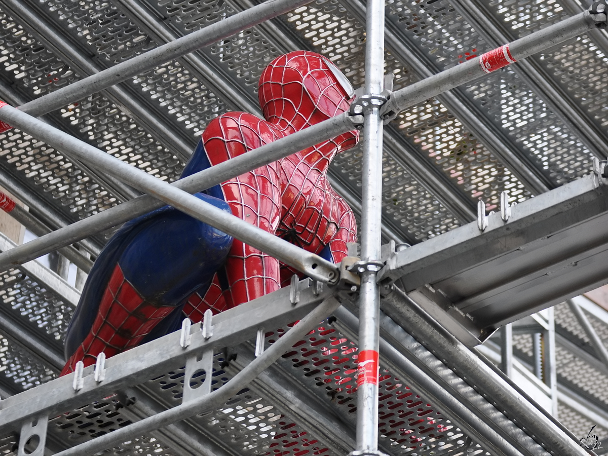 Ich glaub ich bin im falschen Film - Spiderman in Koblenz. (September 2013)