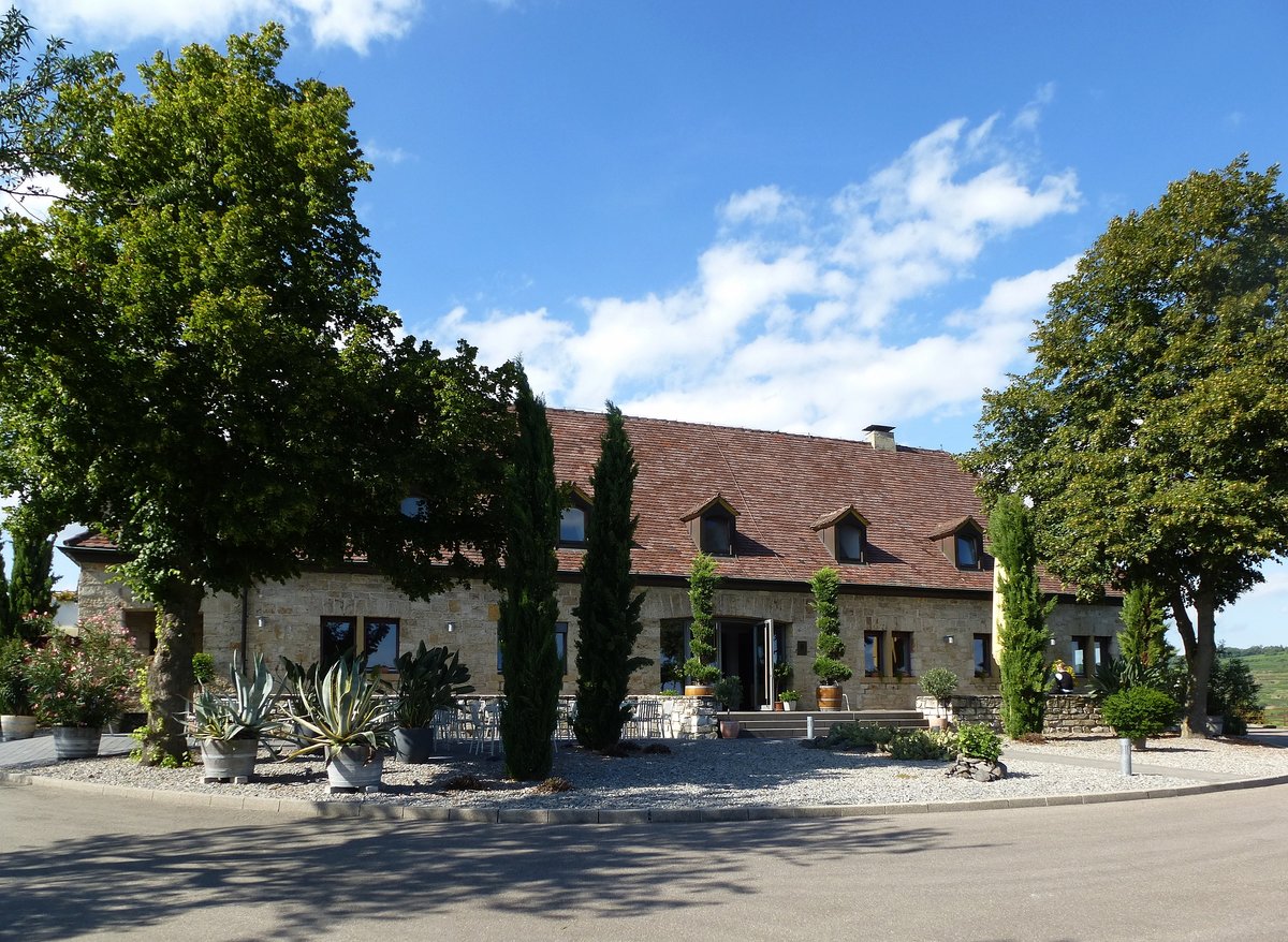 Ihringen-Blankenhornsberg, das Staatsweingut Freiburg im Sd-Westen des Kaiserstuhls, Juli 2017